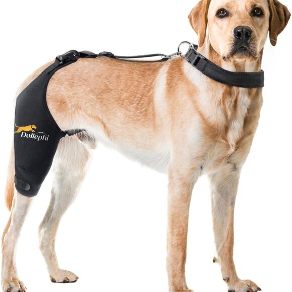 Dog Knee Brace for Torn ACL Hind Leg, Hot/Cold Compress (Right Leg,M) - Picture 2 of 6
